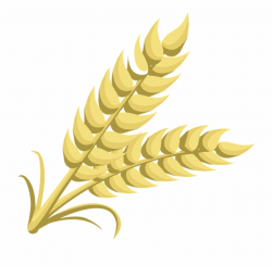 Grains clipart transparent Circle Png, Vector, PSD, and ...