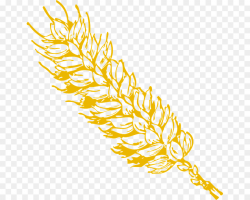 Wheat Grain Clip art - wheat png download - 707*720 - Free ...