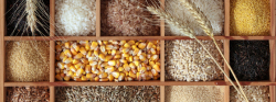 Guide to Whole Grains | Cook Smarts