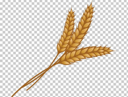 Wheat Ear Grain PNG, Clipart, Cereal, Cereal Germ, Clip Art ...