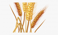 Farm Clipart Wheat - Transparent Wheat Png File #1653284 ...