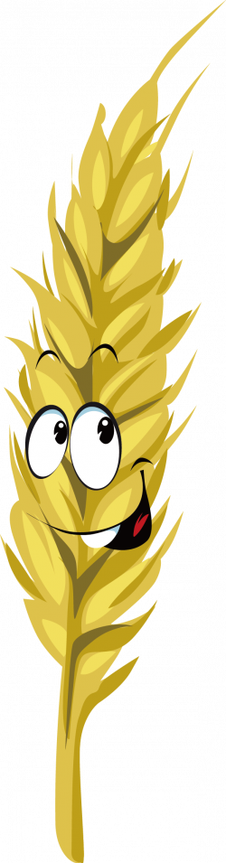 Wheat Cartoon Drawing Royalty-free - Wheat with expression 583*2229 ...
