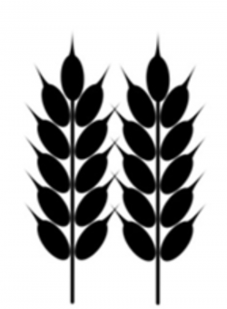 Wheat Cartoon clipart - Wheat, Leaf, Plant, transparent clip art