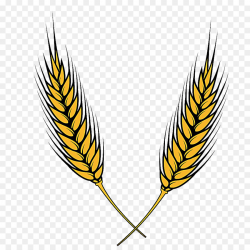 Free Grains Clipart wheat leaf, Download Free Clip Art on ...