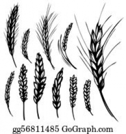 Wheat Clip Art - Royalty Free - GoGraph