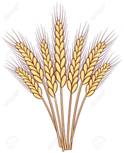 Free Grains Clipart wheat stalk, Download Free Clip Art on ...