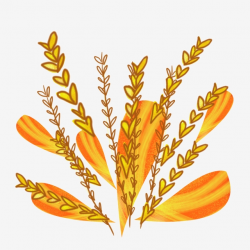 Yellow Wheat Grain Illustration, Yellow Wheat, Food ...