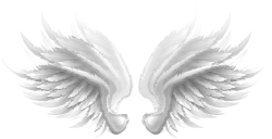 White Wings Transparent Clip Art Image | Gallery Yopriceville ...