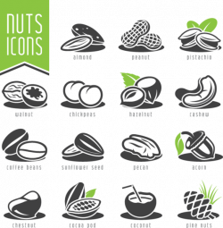 667 Nut Icons | Multiple images, Clipart images and Vector clipart