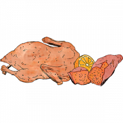 Duck, Sweet Potato & Orange Grain Free Adult Dog Food | CaspianPets