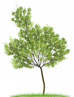 Transparent Green Tree PNG Clipart | Gallery Yopriceville - High ...