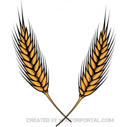 Grain Clipart | Free download best Grain Clipart on ...