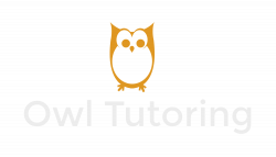 Become a Tutor — Owl Tutoring