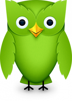 Duolingo Owl. FREE app that you can use to learn languages! | School ...
