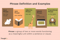 What Is a Phrase? Definition and Examples in Grammar