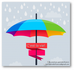 C'est la vie ! #french #grammar #FLE | Phrases, expressions, etc ...