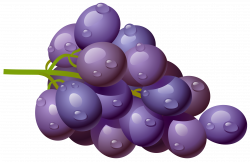 Grape PNG Clipart Picture | Gallery Yopriceville - High-Quality ...