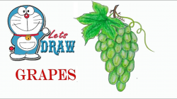 How to draw grapes step by step (very easy)