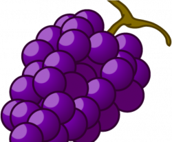 Grapes Clipart Autumn Fruit - Png Download - Full Size ...