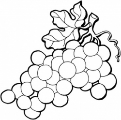 Free Grapes Clipart Black And White, Download Free Clip Art ...