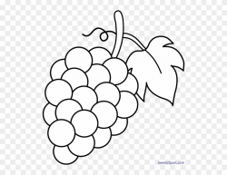 Grape Clipart Black And White - Grapes Clipart Black And ...