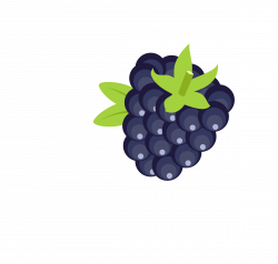 28+ Collection of Blackberry Fruit Clipart | High quality, free ...
