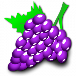 Nicubunu Grapes | Free Images at Clker.com - vector clip art online ...