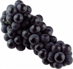 Isolated Blue Grape transparent PNG - StickPNG