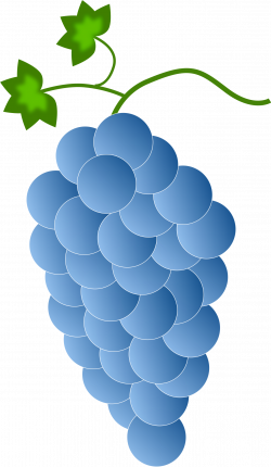 Clipart - blue grapes
