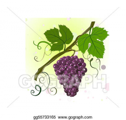 Vector Stock - Branch of grapes. Clipart Illustration ...