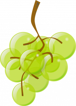 Grapes | Free Stock Photo | Illustration of a bunch of green grapes ...