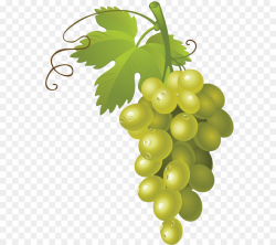 Bunch Of Grapes Png & Free Bunch Of Grapes.png Transparent ...