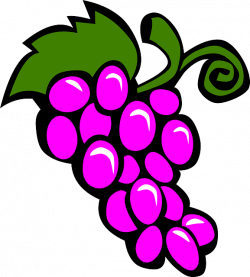 Grapes Drawing | Free download best Grapes Drawing on ClipArtMag.com
