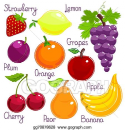 Vector Art - Selection of colorful tropical fruit with ...