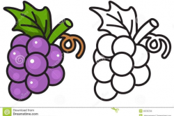 Grape Clipart coloring page 7 - 728 X 485 | de colorat ...