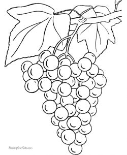 Grapes coloring pages 005 | Coloring Pages For Kids ...