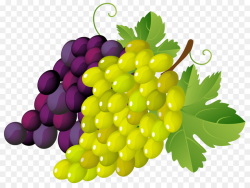 Family Cartoon clipart - Grape, Wine, Fruit, transparent ...