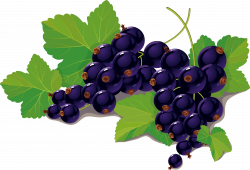 Blueberries clipart grape ~ Frames ~ Illustrations ~ HD images ...