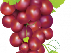 Grapes Clipart face - Free Clipart on Dumielauxepices.net