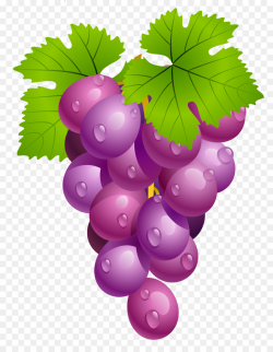 Grape Cartoon clipart - Grape, Wine, Food, transparent clip art