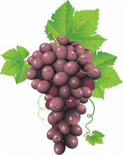 Grapes Clipart box - Free Clipart on Dumielauxepices.net