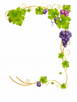 Corner Clipart Grape Vine - Grape Frame Png {#865960} - Pngtube