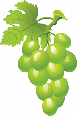 green grapes png - Free PNG Images | TOPpng