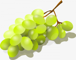 Fresh Grapes, Fresh, Grape, Fruit PNG Transparent Image and ...