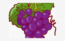 Grapes Clipart Pop Art - Fruits And Vegetables Grapes Clip ...