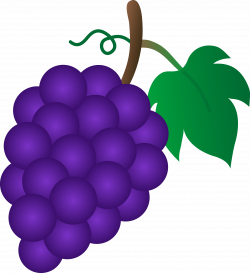 28+ Collection of Grape Bunch Clipart | High quality, free cliparts ...