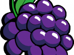19 Grape clipart grape vine HUGE FREEBIE! Download for PowerPoint ...