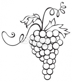 clipart grape cluster - Google Search | nature crafts ...