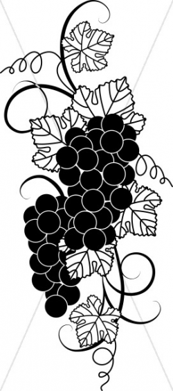 Black And White Grape Clipart | Harvest Day Clipart