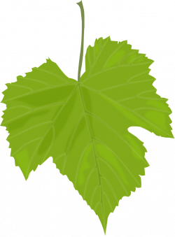 OnlineLabels Clip Art - Grape Leaf